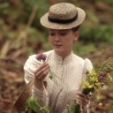 willowbudgrove avatar