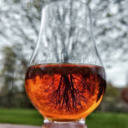 willworkforwhiskey avatar