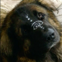 willyouwontyou avatar