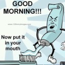 willywanker61-2 avatar