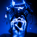 willywonkaweinhaus avatar