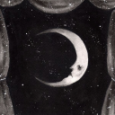 wiltedpeonies avatar