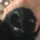 wiltedpumpkin avatar