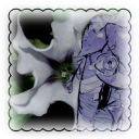 wiltedrottingflowers avatar