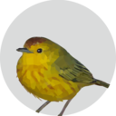 wiltingduckling avatar