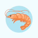 wimpshrimp avatar