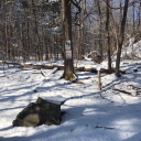 winchester1108 avatar