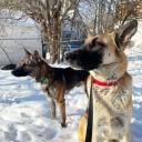 winchestergirl22 avatar