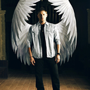 winchestermoran avatar