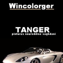 wincolorger avatar