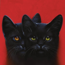 windclanresident avatar