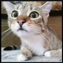 windeverland-blog avatar