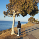 window-flowers avatar