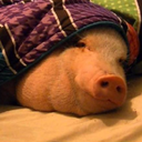 window-squeegee avatar