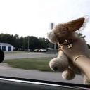 windowsvistar avatar