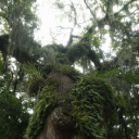 windowtothesouul avatar