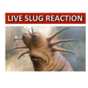 windstrider2017 avatar