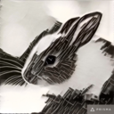 windybunny avatar