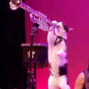 windystarrynights avatar