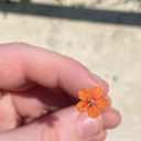 wingedbakeryghostcowboy avatar