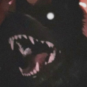 wingedcanine avatar