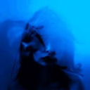 wingedranchlandpeanut avatar