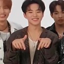 wingedturtlewonderland avatar