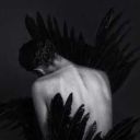 wingedwhisperings avatar