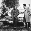 wings-and-winchester-imagines avatar