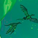 wings-in-orbit avatar