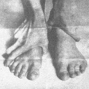 wings-ndthings avatar