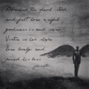 wingsandneedles avatar