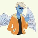 wingships avatar