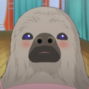 winter-melone avatar