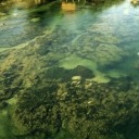 winter-s-story avatar