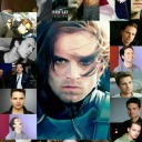 winter-soldier-sebstan avatar