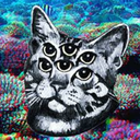 winter-sunny-day avatar