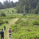 winter-vvaves avatar