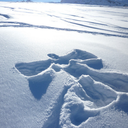 winterangel2314 avatar