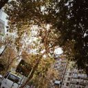 winterblackbear avatar