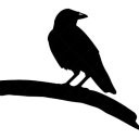 wintercorvidae avatar