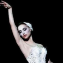 winterhearted-black-swan avatar