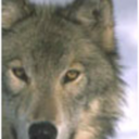 winterizcoming-blog avatar