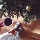 winterliciovs avatar