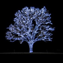 winterlightsandsnowflakes avatar