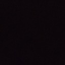 winternotloseter avatar