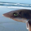 winterpoet82410 avatar