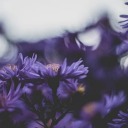 winterrs-child avatar