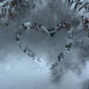 wintersdelight avatar