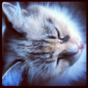 winterskies1111 avatar